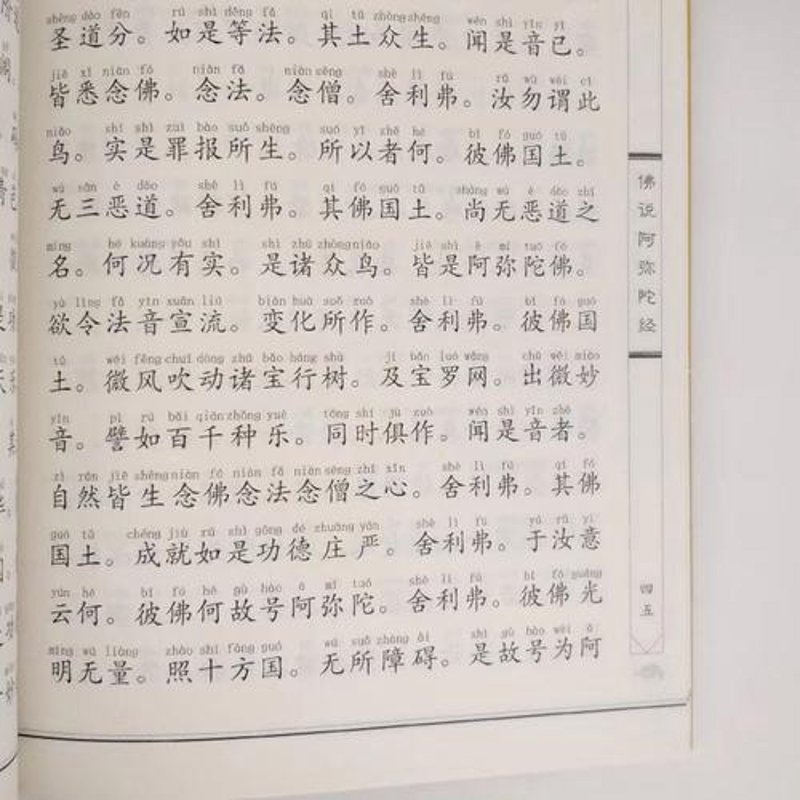 观世音菩萨普门品读诵：心灵之旅的指引